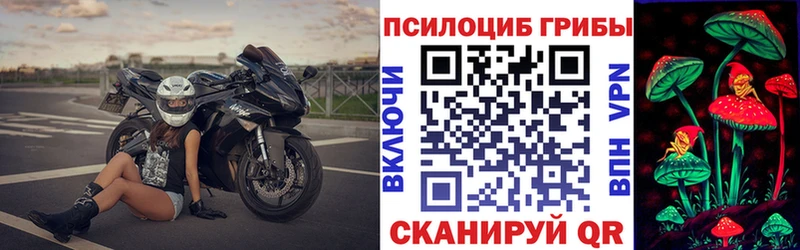 Галлюциногенные грибы Psilocybine cubensis  Камызяк 
